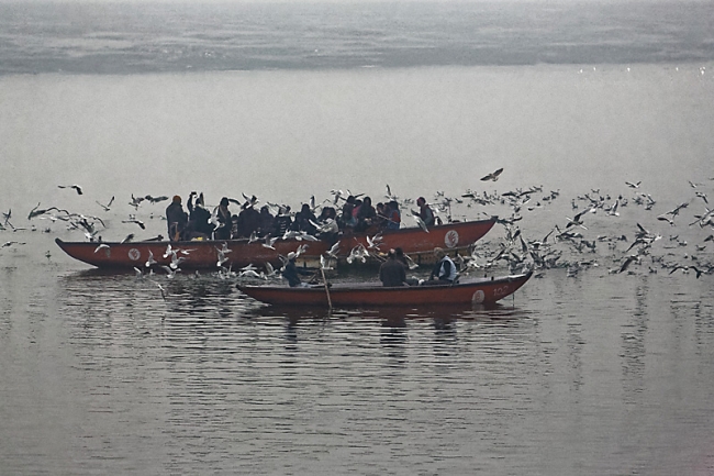 Varasani-Promenade sur le Gange-007